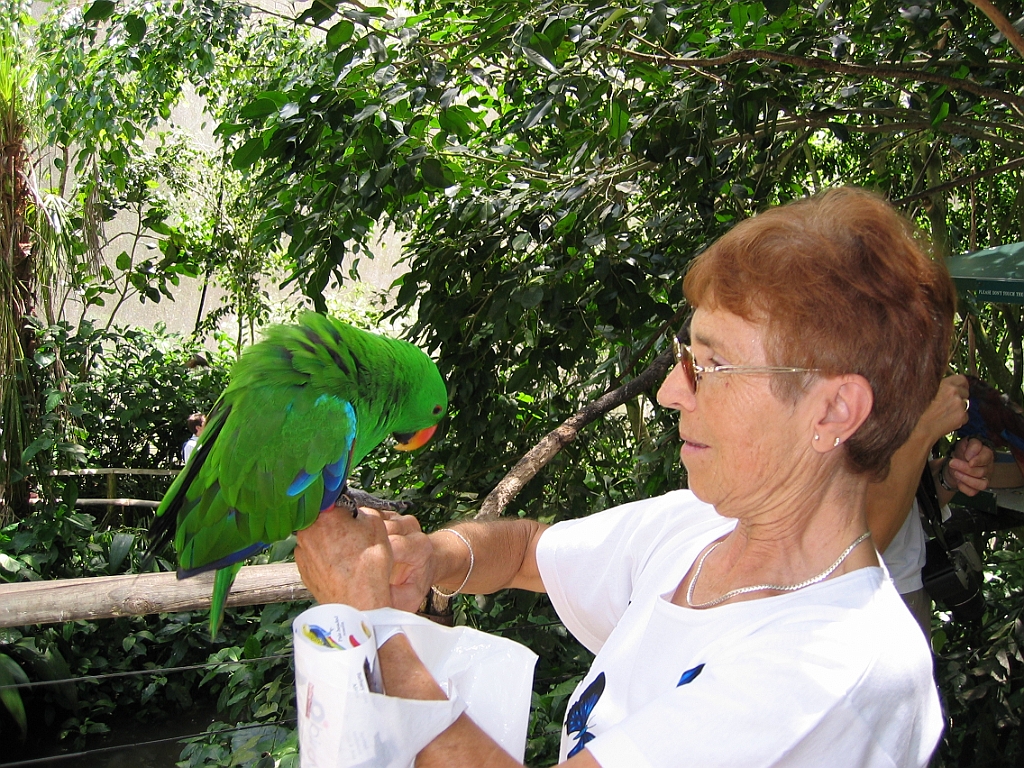 030 Birdworld Kuranda.jpg